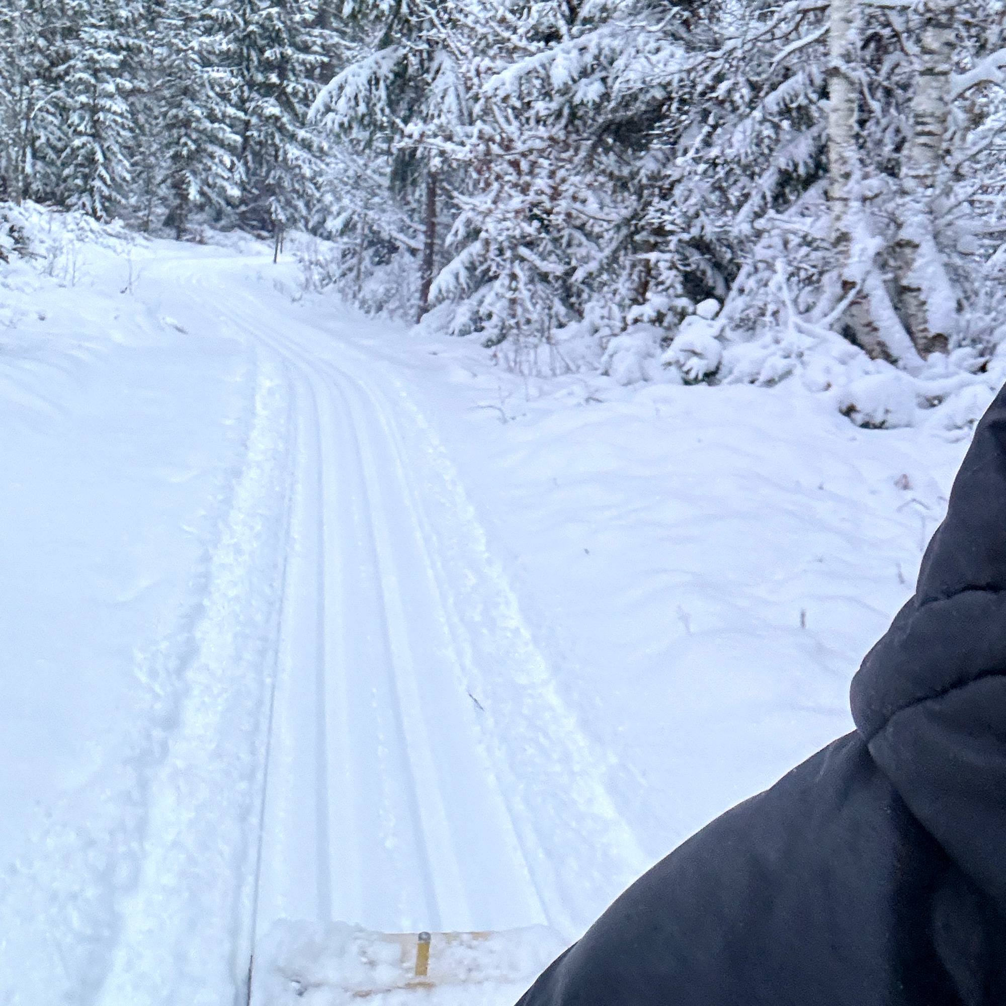 image: Skidspår i Snapen + Leksberg