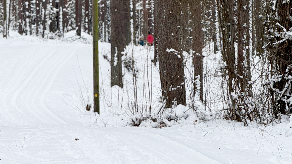 image: Spårstatus - uppdaterad 8/1